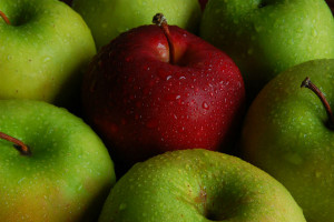 Produkcja cydru szansą na zagospodarowanie nadwyżek jabłek
