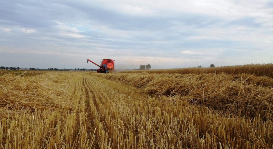 Wstępny raport GUS dotyczący wielkości produkcji rolnej i ogrodniczej w 2014r.
