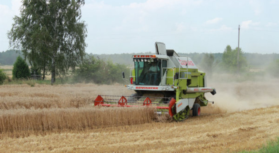 Kończą się żniwa, plony zbóż są wysokie