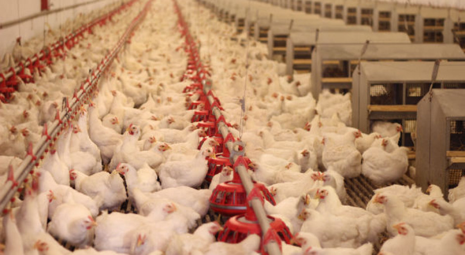 Konspol planuje otworzyć zakłady produkcyjne w Azji