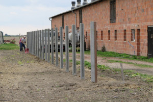 Przełomowy wyrok: Rolnik wygrał w sądzie z ARiMR
