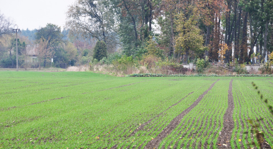 Wpływ temperatury na skuteczność herbicydów