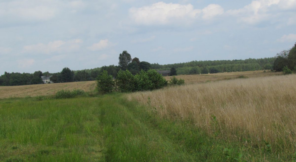 Ziemia wycieka do cudzoziemców?