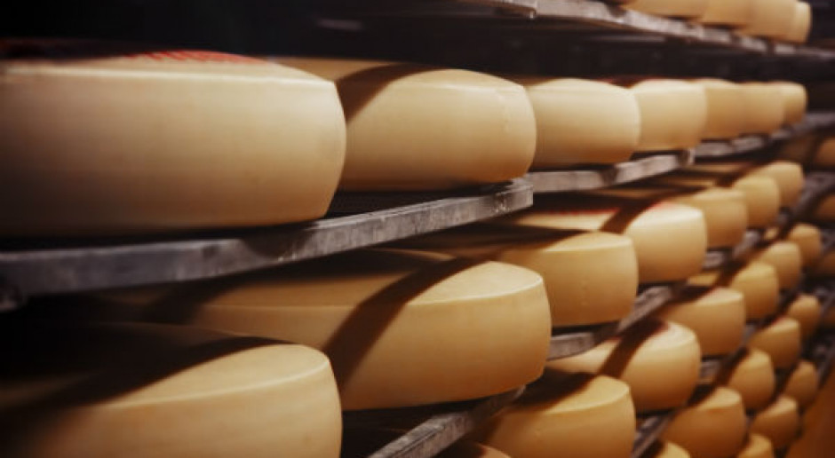 KE zawiesza system wsparcia dla producentów sera dotkniętych embargiem