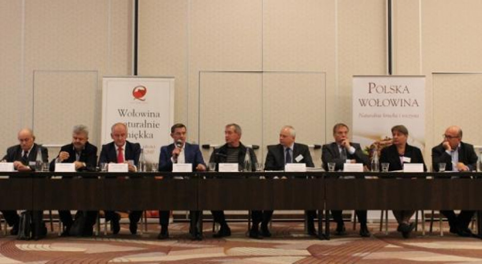 Jak administracja państwowa, może pomóc producentom wołowiny?