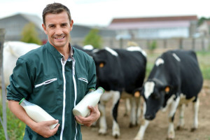 MRiRW: Trudna sytuacja na rynku mleka skutkiem spadku cen na świecie