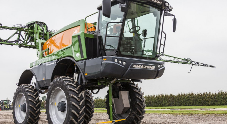 Amazone: Pantera w kukurydzę i słonecznik