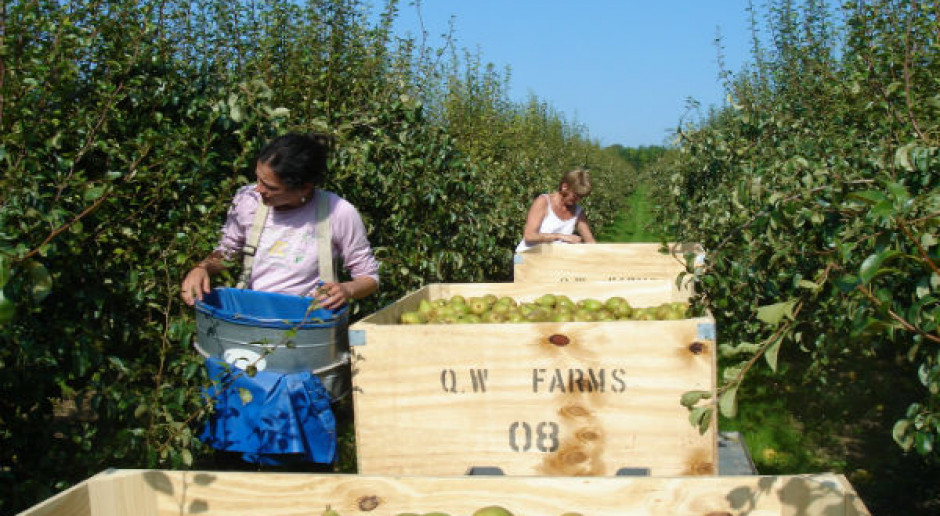 FAO: gospodarstwa rodzinne dostarczają ponad 80 proc. żywności na świecie
