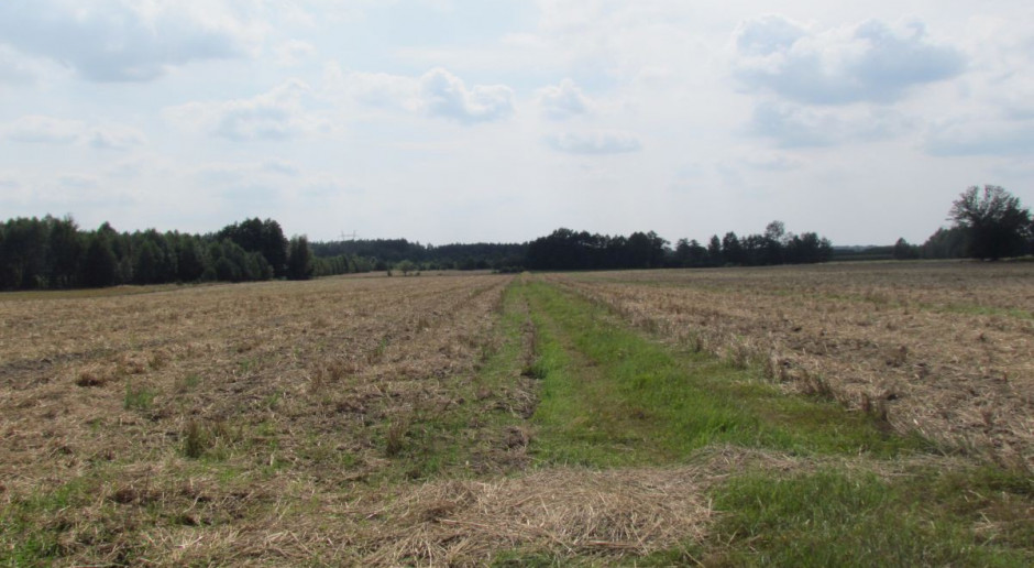 Zasiłki dla bezrobotnych rolników?