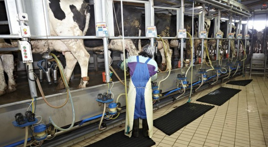 ARR: utrzymuje się nadprodukcja mleka