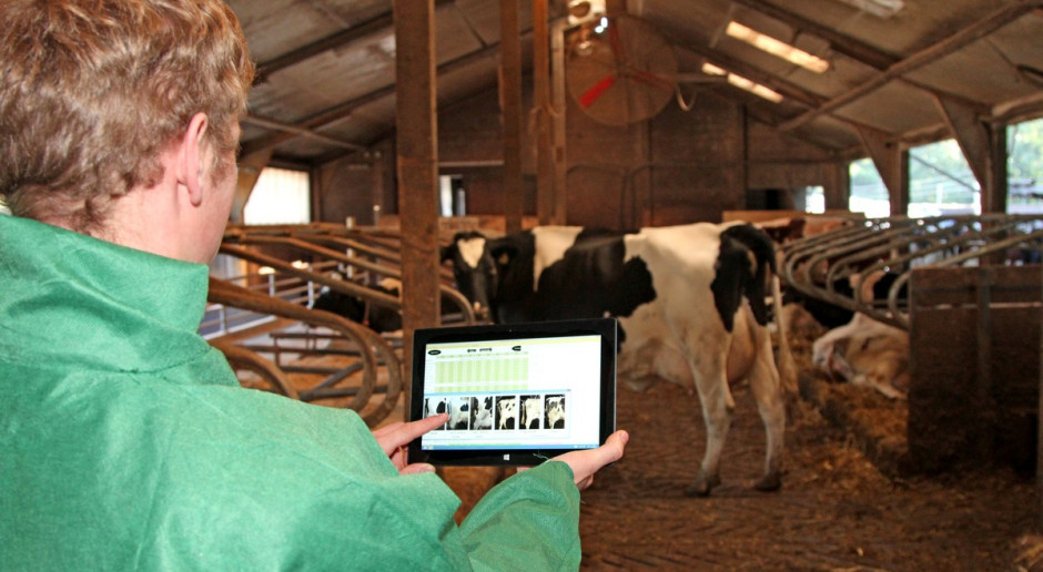 "Cows and more" - innowacyjny system oceny stada bydła mlecznego