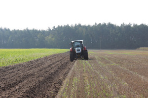 Europoseł PiS: tradycyjne rolnictwo powinno wygrywać z przemysłowym