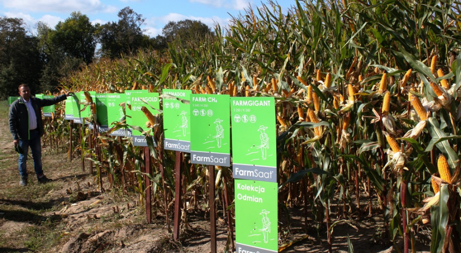 Wyniki plonowania kukurydzy FarmSaat