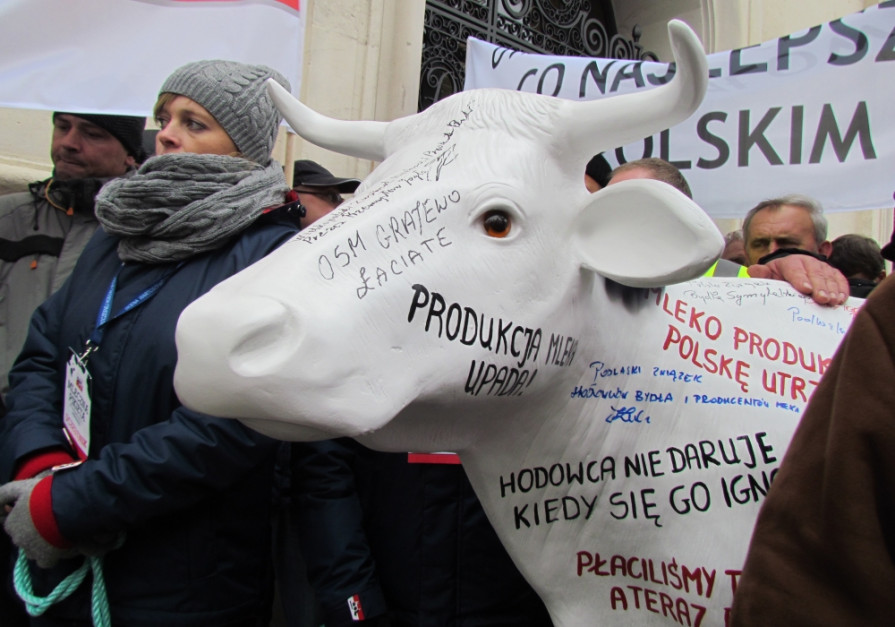 Metysi To Potomkowie Przedstawicieli Białej Odmiany Człowieka Oraz Krowa z postulatami oraz podpisami przedstawicieli mleczarni i