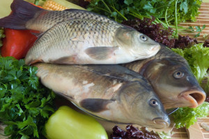 Producenci ryb nie chcą płacić za wodę