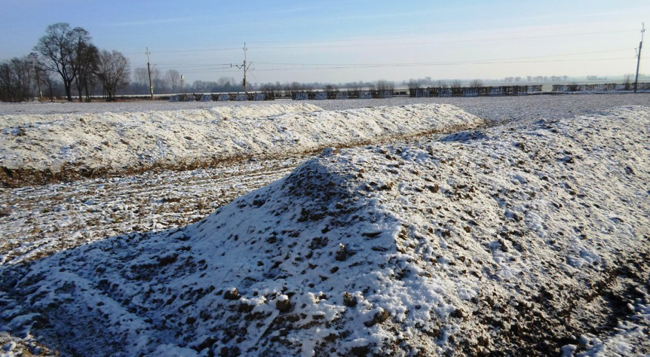 Okrywa zimowa kopców ziemniaczanych