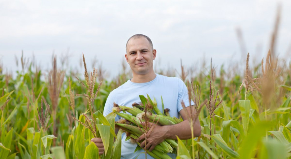 Europarlament poparł przepisy ułatwiające zakazywanie upraw GMO