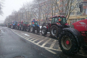 Rolnicza "Solidarność" zapowiada na 19 lutego protest w Warszawie i regionach