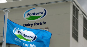 Fonterra koryguje w dół prognozę cen mleka w sezonie 2023/2024