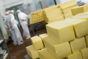 Zakaz importu wyrobów serowych i seropodobnych z Polski