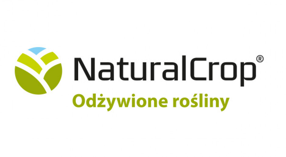 Jak wybrać dobry koncentrat aminokwasowy?