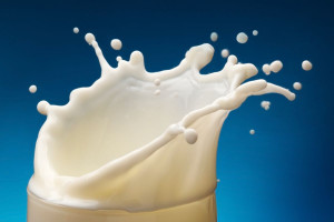 Kary za przekroczenie kwot mlecznych mogą być rozłożone na raty
