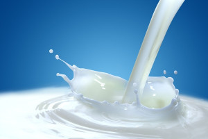 Sawicki: kary za przekroczenie kwot mlecznych rozłożone na trzy lata
