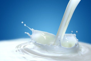 Po zniesieniu kwot mlecznych nastąpi przebudowa sektora?