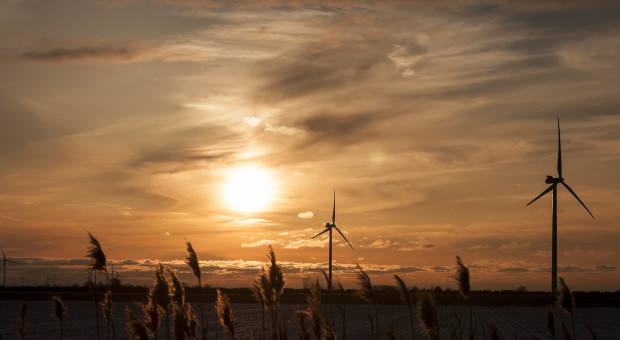 Belgia przymierza się do budowy energetycznej wyspy na swoim wybrzeżu