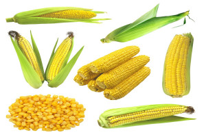Import zbóż z Ukrainy omija Polskę