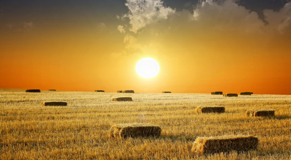 fot. Fotolia KSC nie chce holdingu z Elewarrem