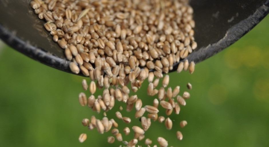 Prokuratura odmówiła śledztwa w sprawie zarobków władz firmy Elewarr. fot.farmer.pl Prokuratura odmówiła śledztwa w sprawie zarobków w Elewarze