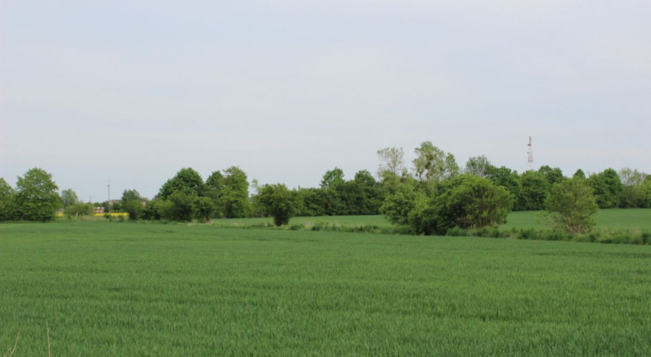 fot. marz. Komisje pracują nad ustawą o sprzedaży ziemi