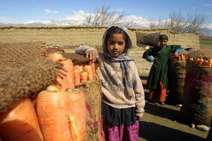 FAO opracowała podręcznik monitorowania pracy dzieci w rolnictwie