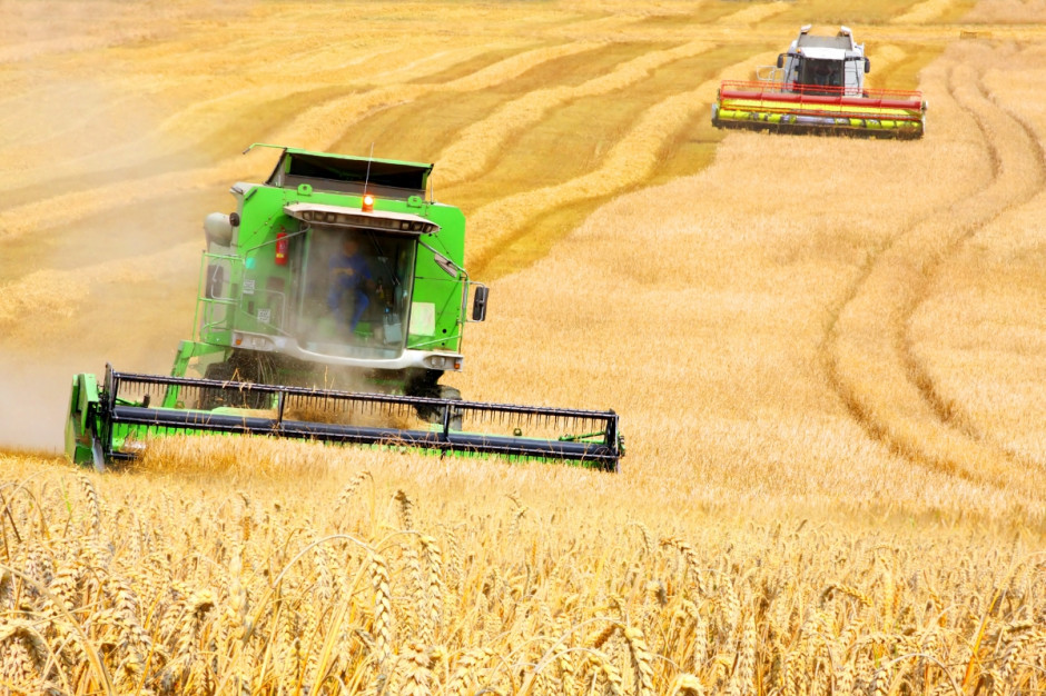 W latach 2015-2024 będzie rosnąć produkcja zbóż (fot. Fotolia)