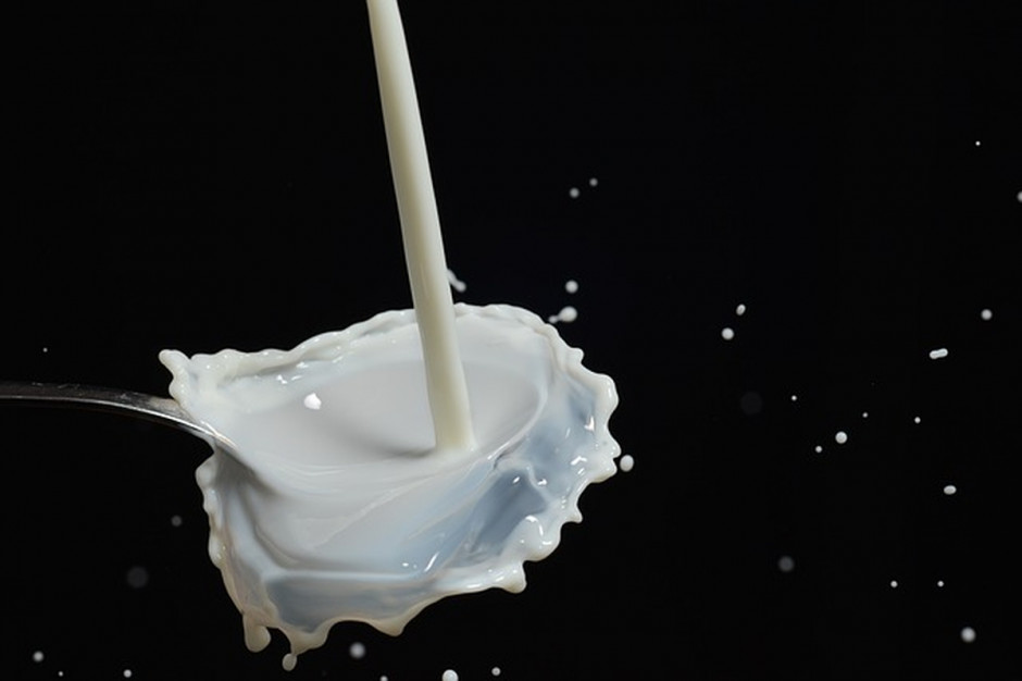 Światowa produkcja mleka do 2014 r. powinna wzrosnąć o 23 proc. (fot.pixabay. com)