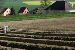Sejm znowelizował ustawę o ochronie gruntów rolnych