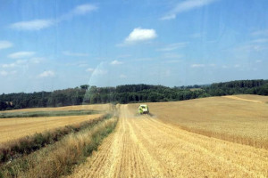 Trwają żniwa pszenicy ozimej w spółce IMC na Ukrainie