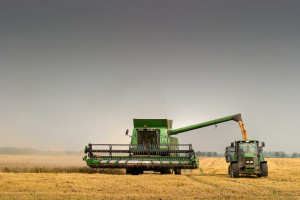 Niemcy: 9 proc. zbóż mniej niż w 2014 r.