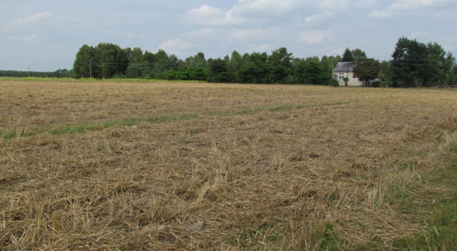 Rozporządzenie określające zasady przyznawania pomocy trafiło do konsultacji; fot. MP Nabór na „Restrukturyzację małych gospodarstw” w trzecim kwartale?