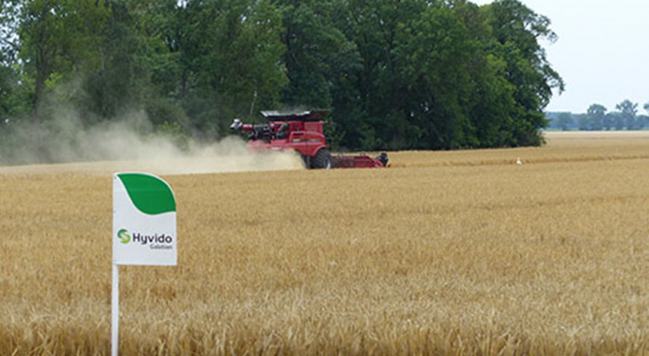 Fot. Syngenta Plonowanie jęczmienia hybrydowego – wyniki z pokazowego gospodarstwa