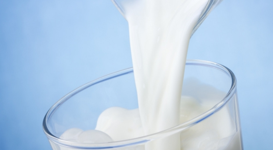 Fot. Fotolia KE: Rośnie produkcja mleka w Europie