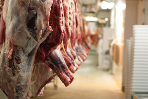 Niemcy: Rekordowa produkcja mięsa