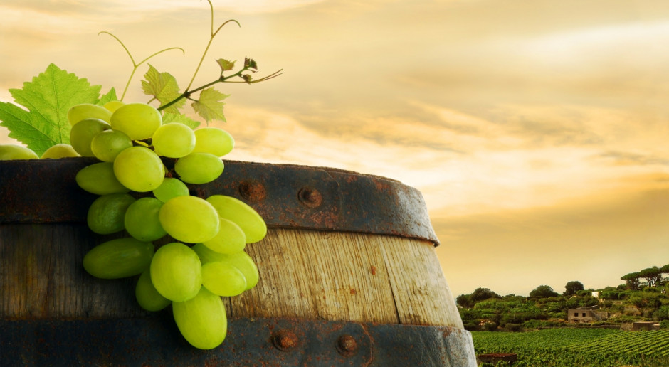 W Polsce zarejestrowanych jest obecnie 95 producentów wina (Fot. Fotolia) Kolejny rok winiarski rozpoczęty