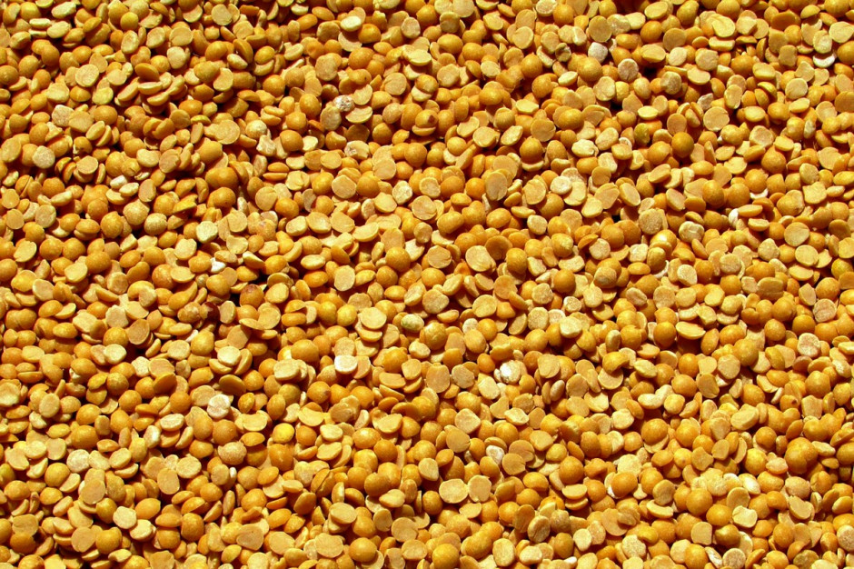 Nasiona grochu mogą być alternatywą dla droższych źródeł białka, fot.pixabay.com