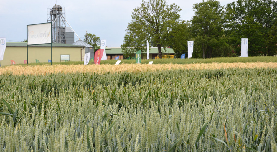 Centrum Doradztwa Technicznego (CDT) firmy Bayer CropScience w Sławkowie, woj. kujawsko-pomorskie. Fot. Katarzyna Szulc Ochronić wschodzące zboża