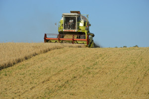 Zbiór zbóż na Ukrainie zaawansowany w 30 proc.