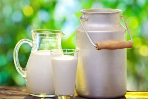 GDT: Ceny produktów mlecznych odbijają się od dna