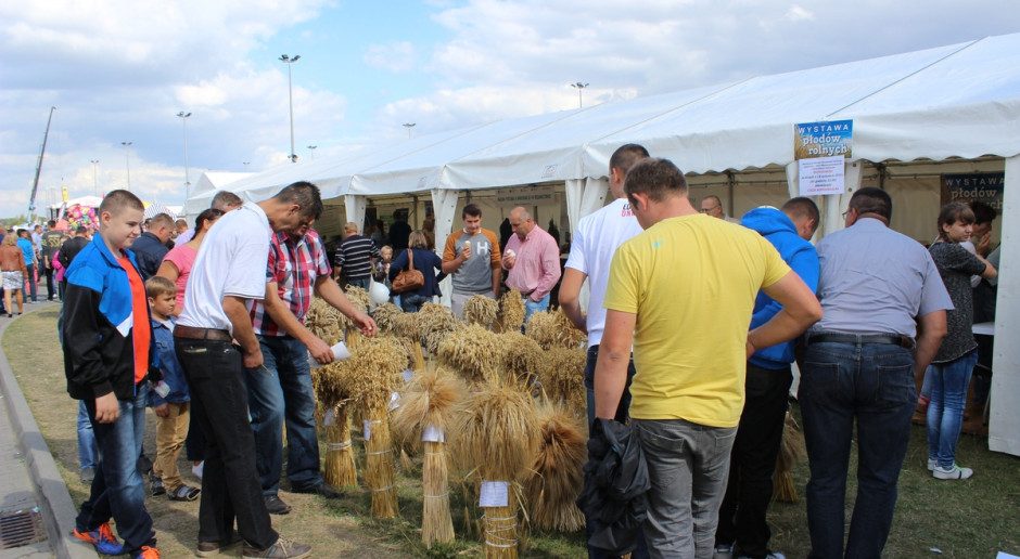 Fot. farmer.pl Mazowsze: Ponad 700 tys. zł na organizację wydarzeń dla mieszkańców wsi