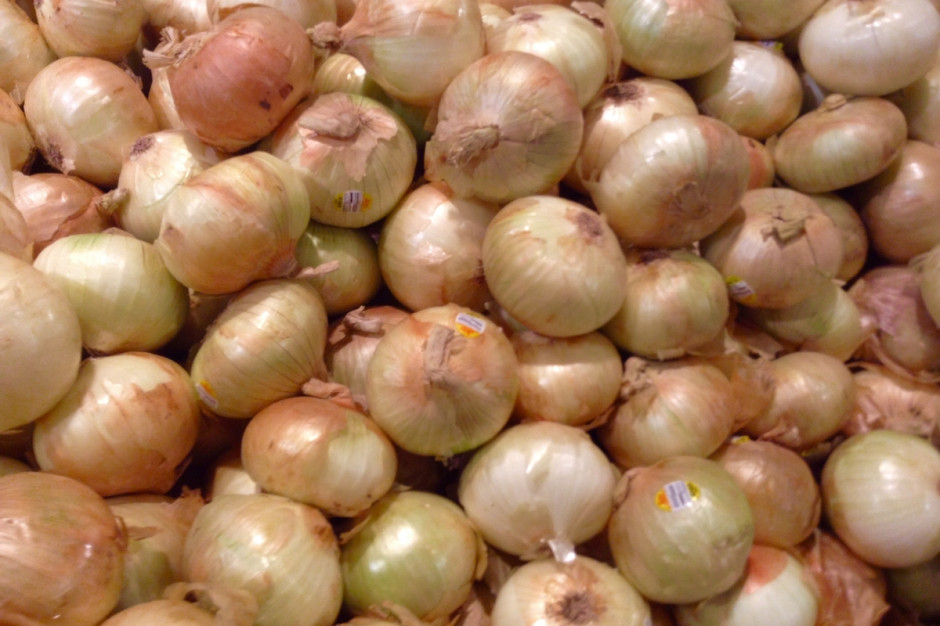 W Polsce ceny skupu cebuli do konsumpcji bezpośredniej według danych Ministerstwa Rolnictwa w sierpniu br. wynosiły 0,88 zł/kg wobec 0,68 zł/kg w roku ubiegłym. Fot. Mike Mozart/flickr.com